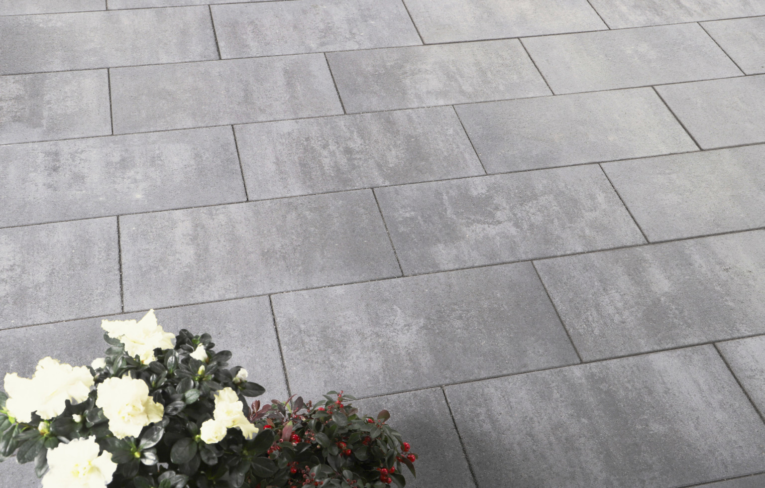 Materasso Ovale Per Navicella - 70x30cm Cotone 100% - Foto 10