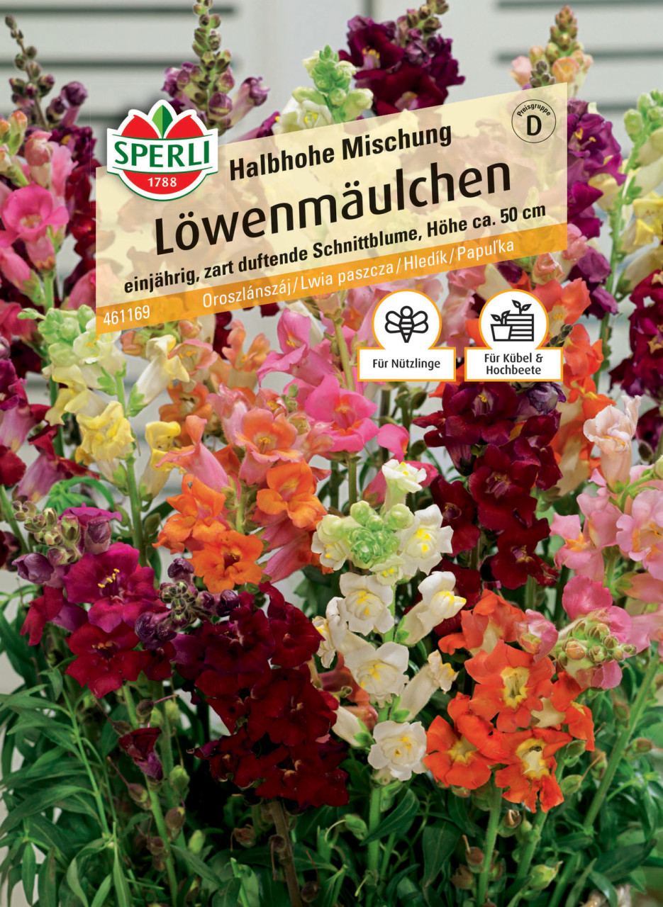Sperli Löwenmäulchen Halbhohe Mischung GLO693109638