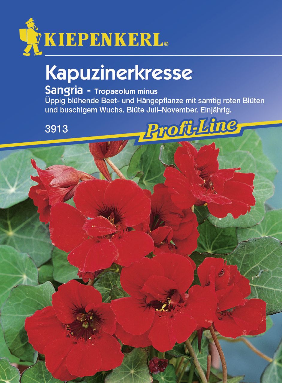 Kiepenkerl Kapuzinerkresse Sangria Tropaeolum minus, Inhalt: ca. 15 Pflanzen GLO693105870
