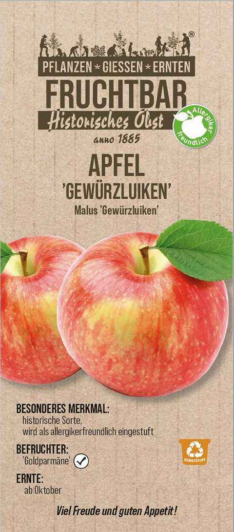 Pflanzen Stadt Ernte Bio Obstbaum Apfel Gewürzluiken H 150 cm 29 cm Topf GLO684801747