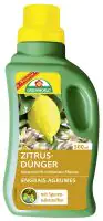 ASB Greenworld Zitrus- und Kübelpflanzen Dünger 500 ml