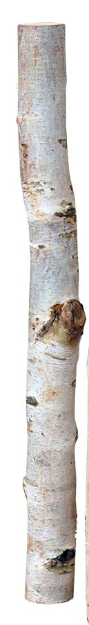 iWerk Birkenholzsticks 100% Natur 40 cm GLO660353180
