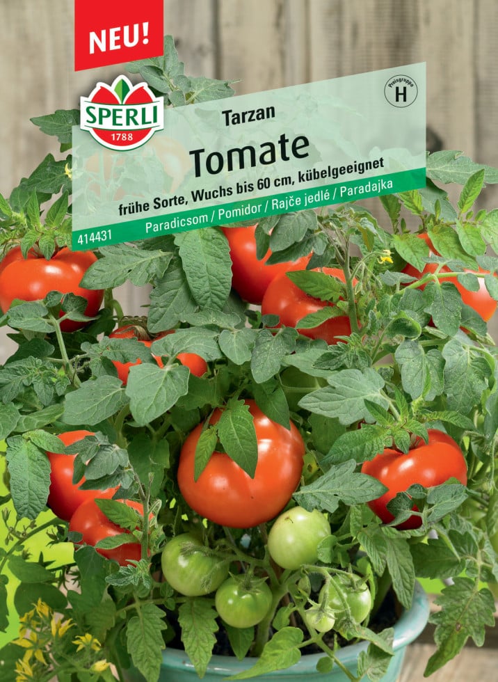 Pomodoro Ovalone Saladyn F1 (ex Rossano) - 6 Piante - Orto Mio - Foto 8