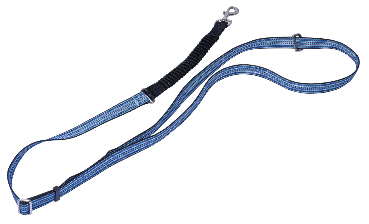 Dobar Hundeleine freihändig verstellbar mit Rückendämpfer 250 cm
