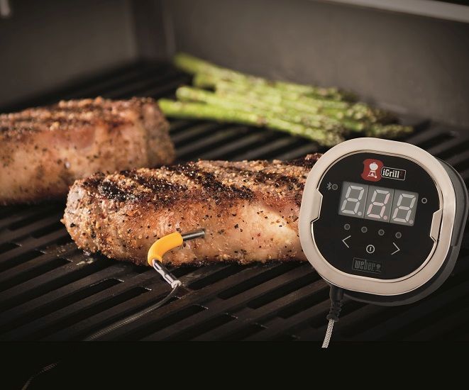 er Grillthermometer iGrill 2 mit zwei Messfühlern kaufen Globus