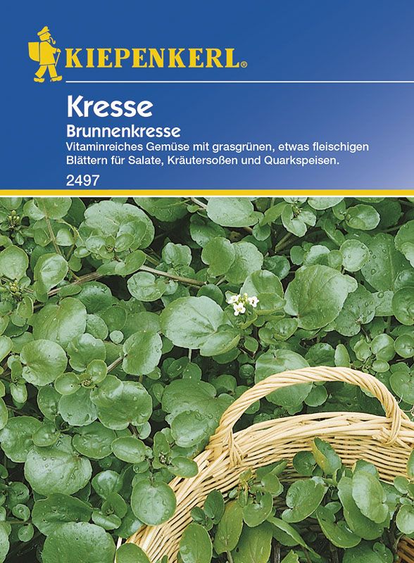 Kiepenkerl Brunnenkresse Brunnenkresse Nasturtium officinale, Inhalt: ca. 0,5 m² GLO693108018