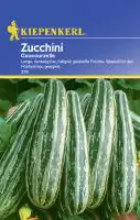 Kiepenkerl Zucchini Coucourzelle Cucurbita pepo, Inhalt: ca. 8 Pflanzen