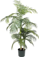 Mica Areca Palme im Plastik Topf grün, 150 x 100 cm