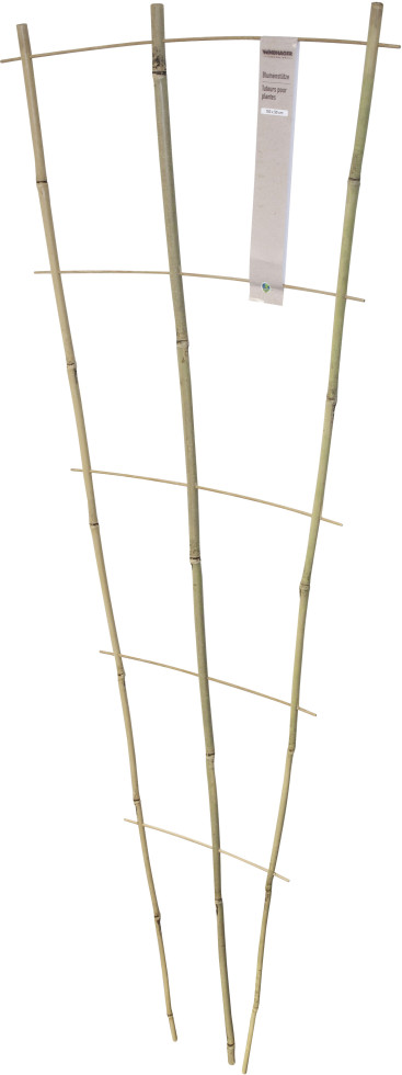 Weitere Rankgitter 150 x 50 cm GLO692504384