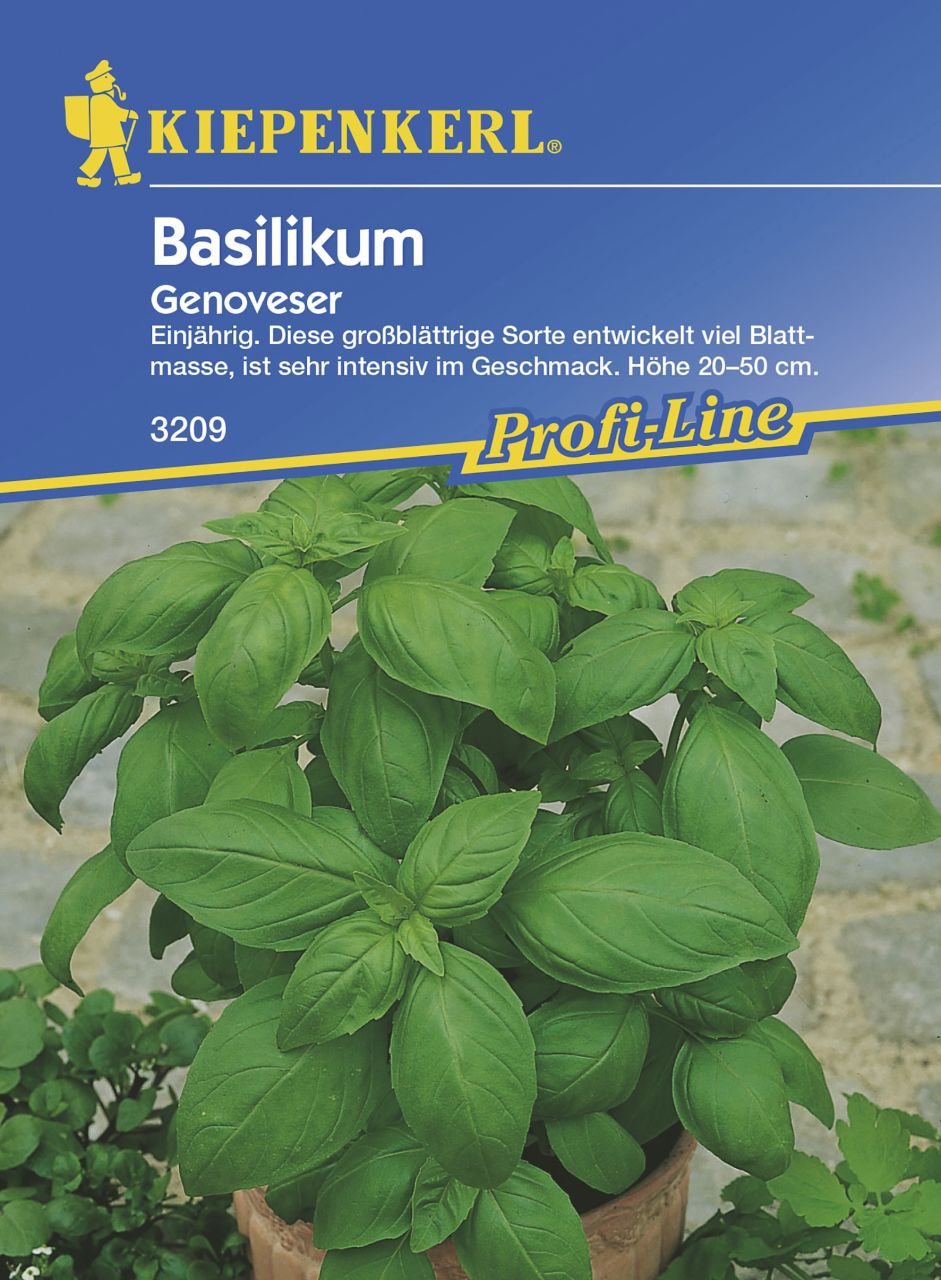 Kiepenkerl Basilikum Genoveser Inhalt reicht für ca. 150 Pflanzen GLO693108780