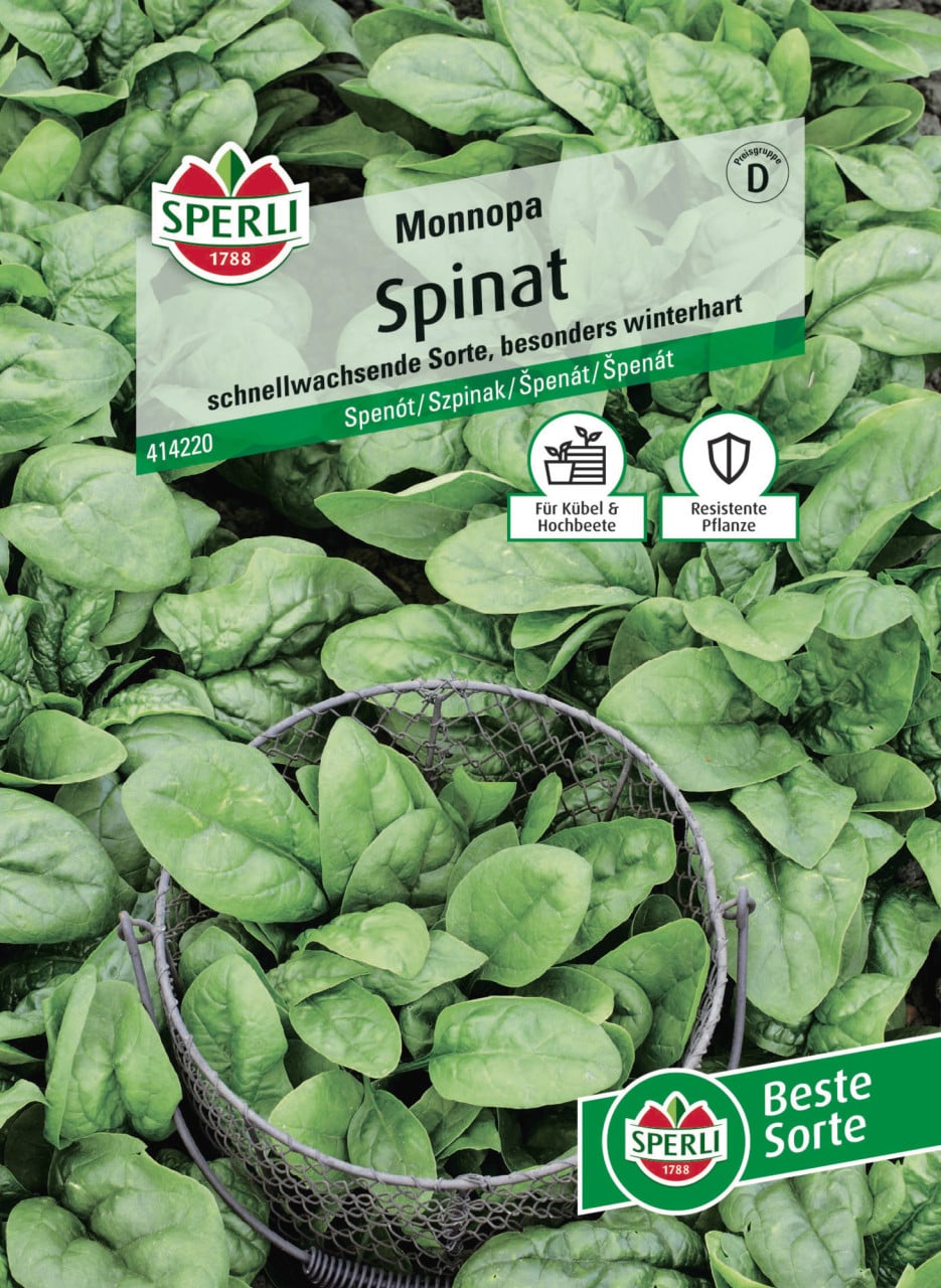 Sperli Saatgut Spinat Monnopa für bis zu 12-14 lfd. Meter GFM333a528b4