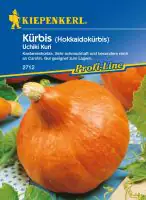 Kiepenkerl Kürbis Uchiki Kuri Cucurbita maxima, Inhalt: ca. 5 Pflanzen