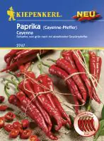 Kiepenkerl Profi-Line Paprika Cayenna Capsicum annuum, Inhalt: ca. 100 Pflanzen