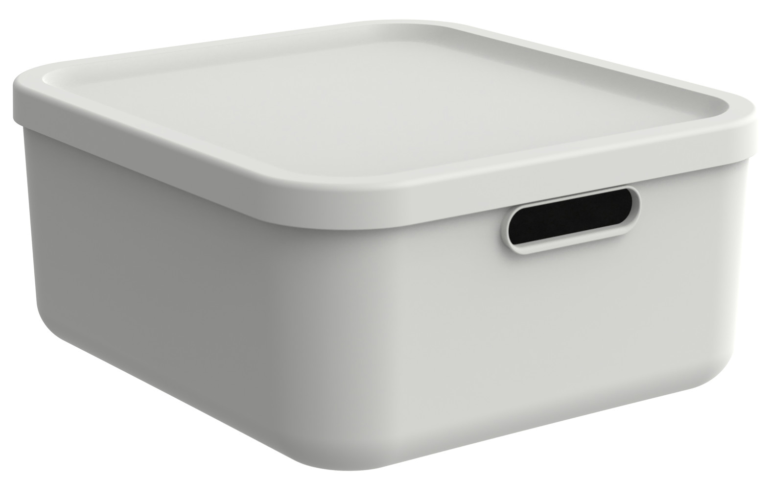 Rotho Aufbewahrungsbox Albula mit Deckel 17,5 x 39,5 cm 20 L weiß