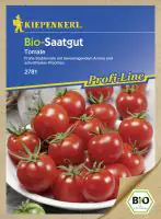 Kiepenkerl Bio-Saatgut Tomate Solanum lycopersicum, Inhalt: 10 Korn