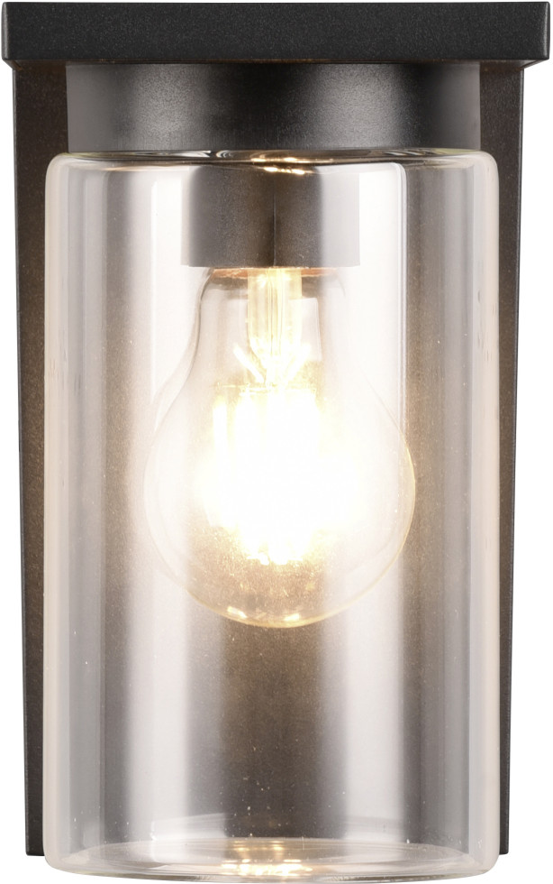 Trio Leuchten Außen Wandleuchte Olona – Aluminium Druckguss Rostfarbig, Klar Glas, 1x E27 Max. 40W, IP23