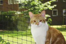 Nobby Katzenschutznetz schwarz Größe S 2 x 3 m
