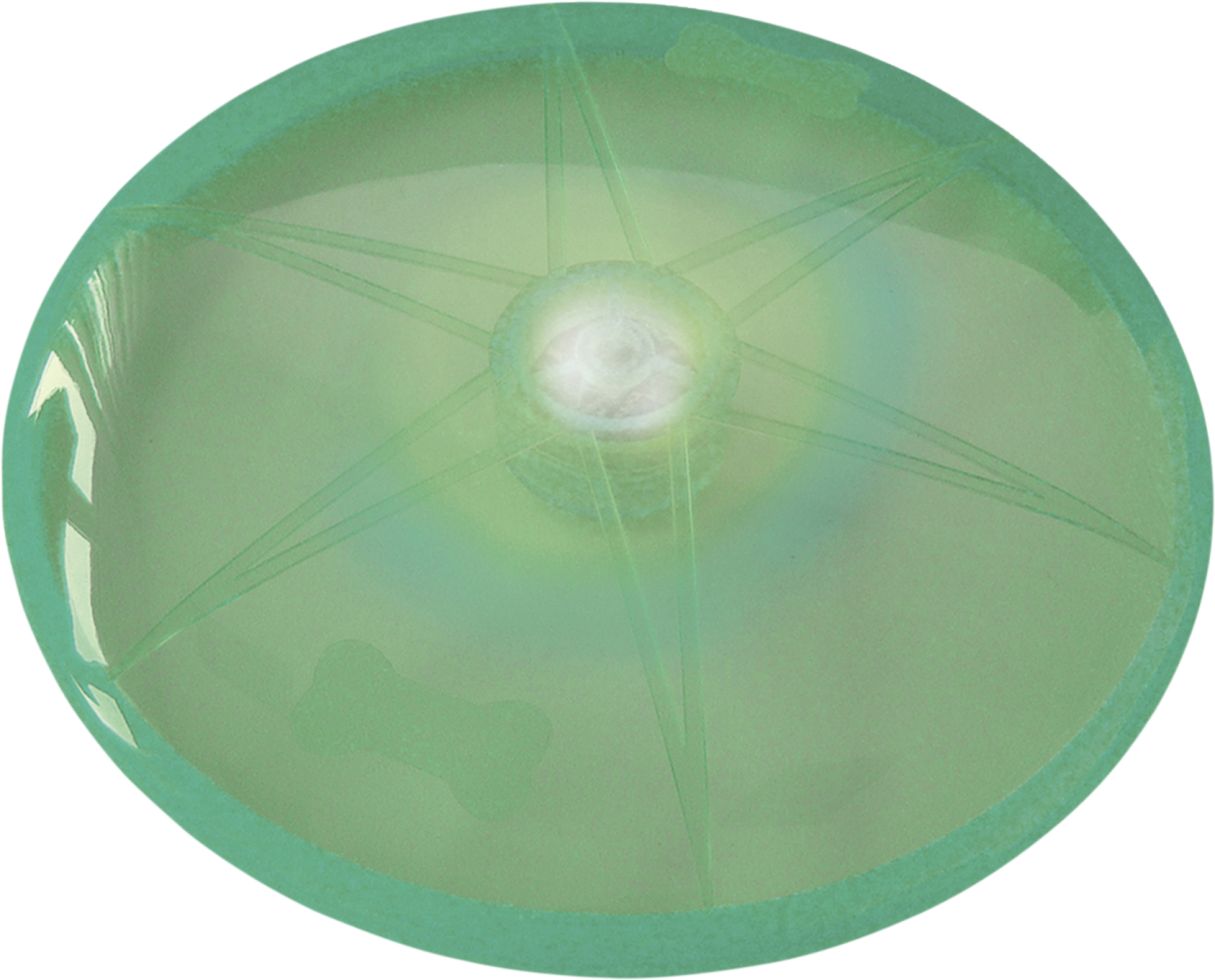 Nobby LED-Disc FLASH grün Ø 15 cm GLO689300612