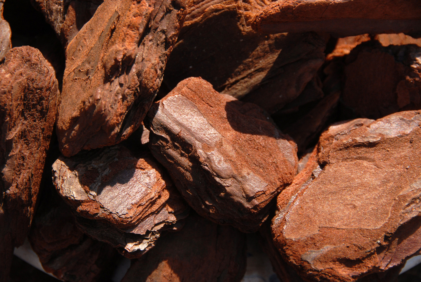 Agricon Pinienrinde Excellent 40 60 mm Körnung 60 L kaufen Globus