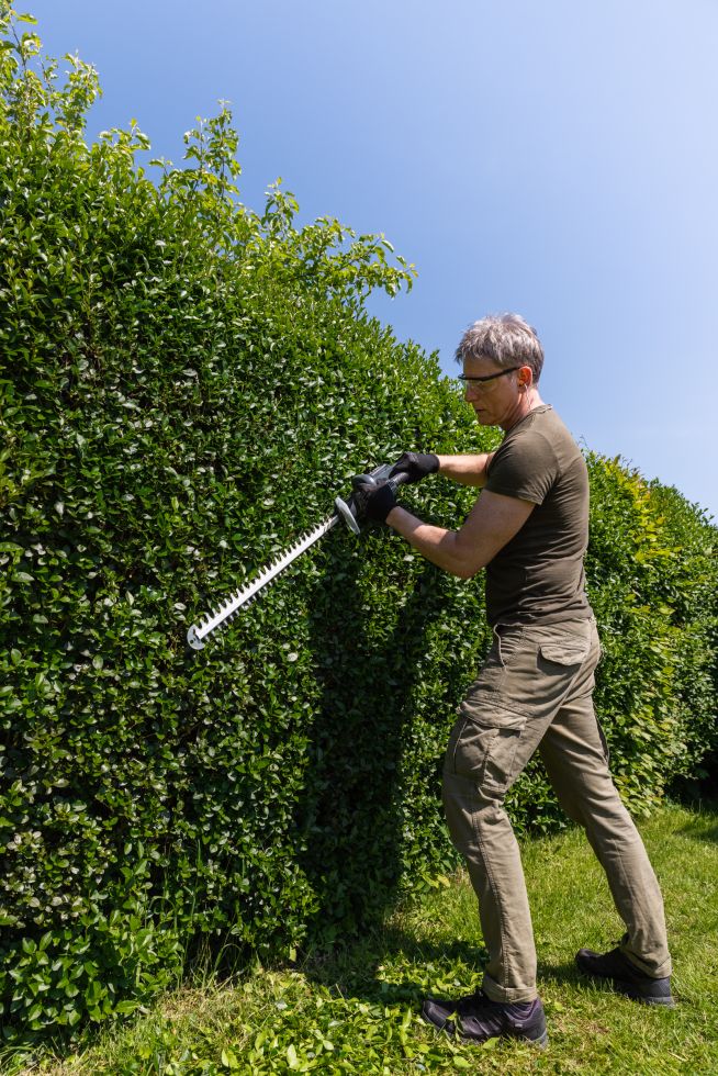 Primaster Pro AkkuHeckenschere PMAHS Pro Solo 20 V 55 cm Schnittlänge
