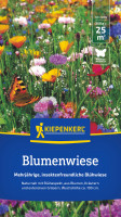 immergrne hecke thuja Thuja Smaragd kaufen