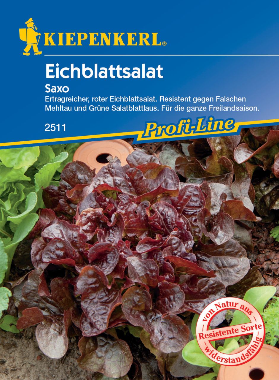 Pflanzen Kiepenkerl Eichblattsalat Saxo GLO693109107