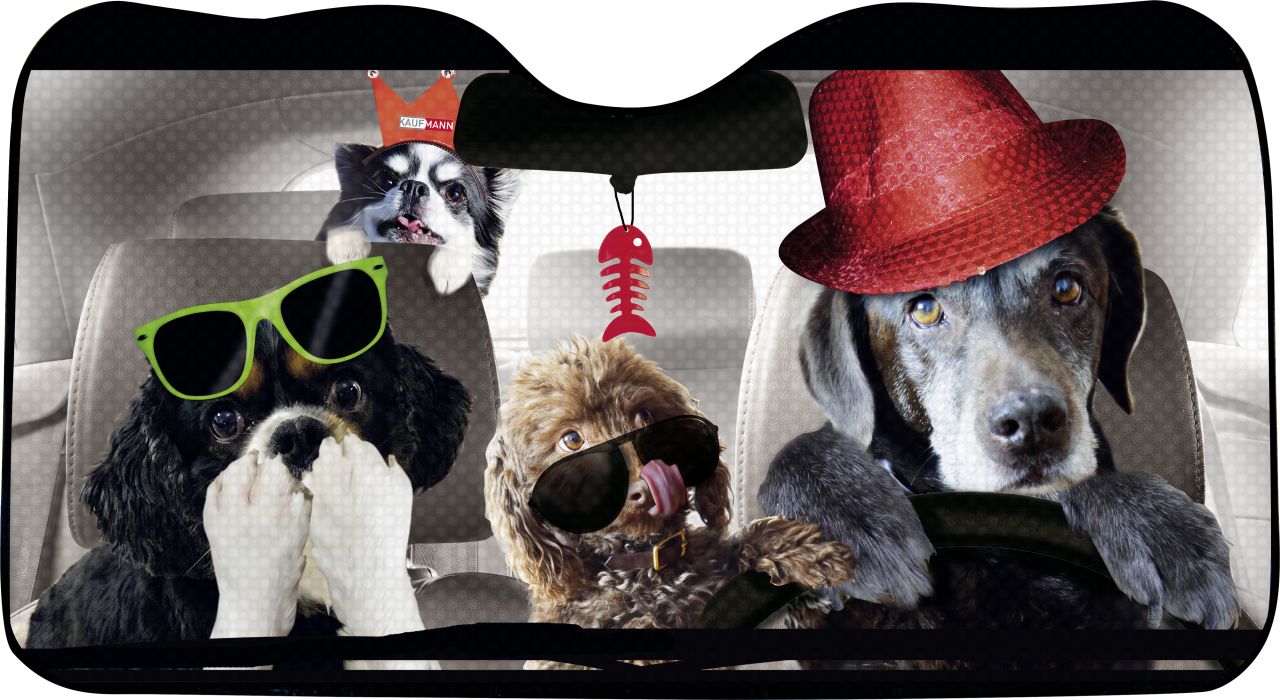 OKCars Frontscheibensonnenschutz Hund GLO680201212