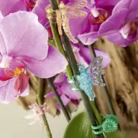 Orchideenclips 6 Stück