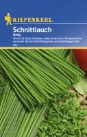 Kiepenkerl Schnittlauch Nelly Allium schoenoprasum, Inhalt: ca. 200 Pflanzen