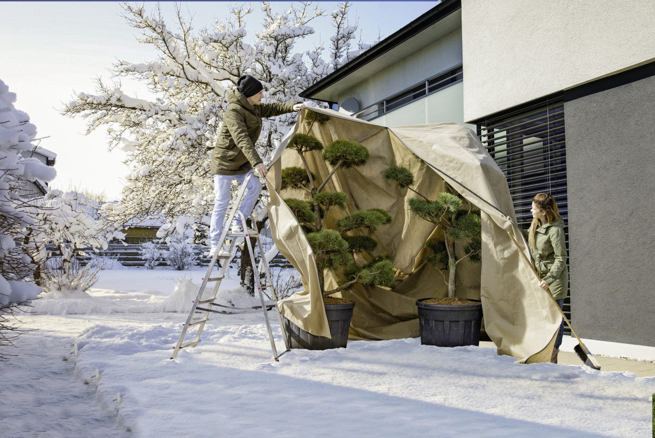 Windhager Beige Vlieshaube Super-Protect Xxxl 3,9 X 3,5 M, Wintervlies - Image 5