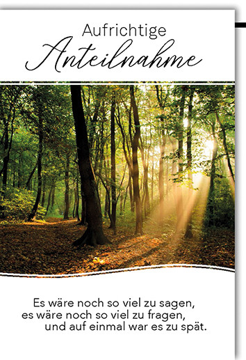 Trauerkarte Sonniger Wald A6