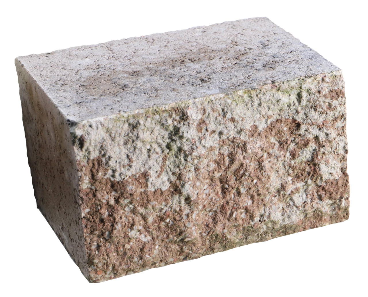 EHL Mauerstein Anzio Light Halbstein 25 x 18 x 15 cm muschelkalk