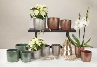 Scheurich Blumentopf Aus Keramik, Farbe: Sesame, 23 Produktbild-Vorschau 7