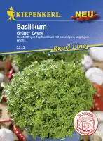 Kiepenkerl Profi-Line Basilikum Grüner Zwerg Ocimum basilicum, Inhalt: ca. 250 Pflanzen