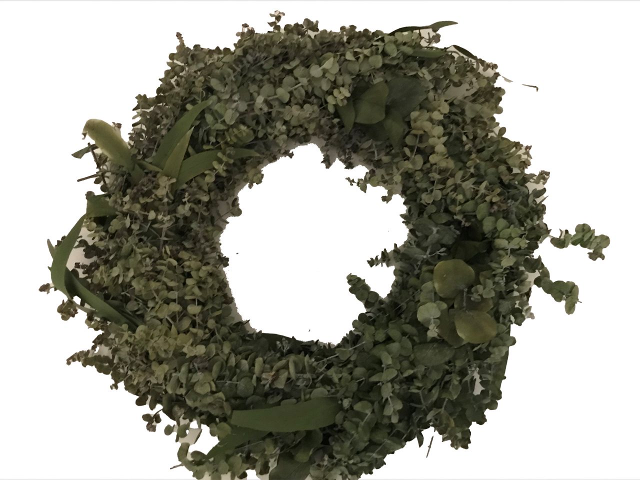 Freese Eukalyptus-Kranz Römer Ø 40 cm, präpariert