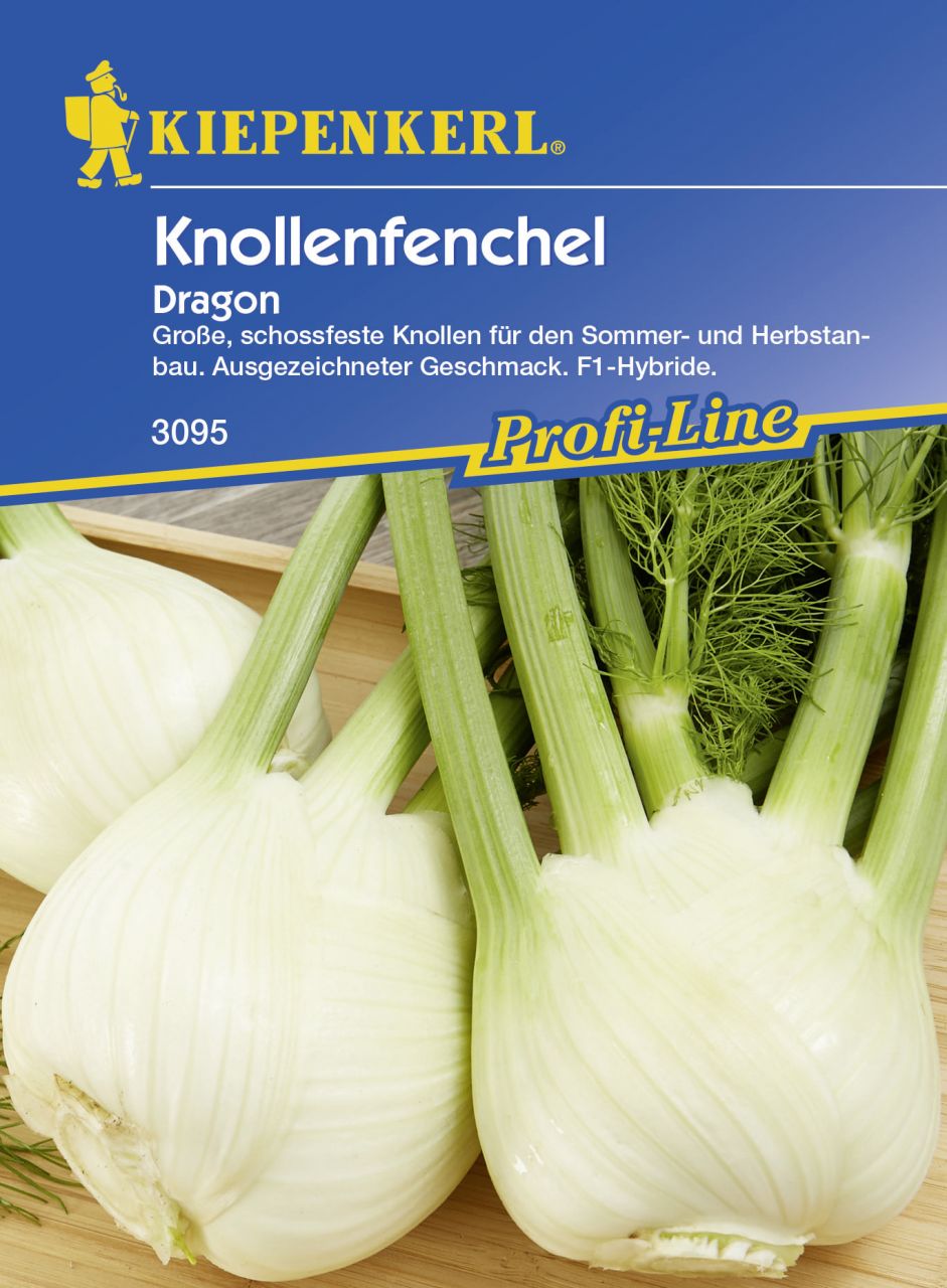 Kiepenkerl Knollenfenchel Dragon F1 ca. 50 Pflanzen GLO693108977