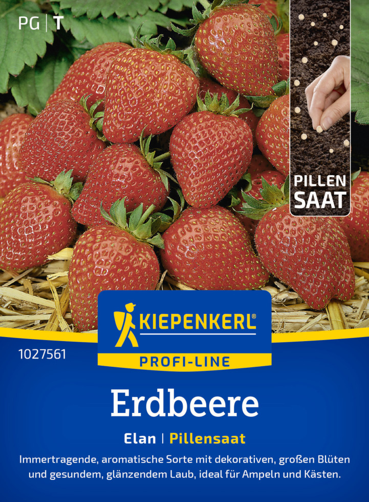 Kiepenkerl Profi-Line Saatgut Erdbeere Elan F1 Pillensaat für ca. 6 Pflanzen GFM51140c082