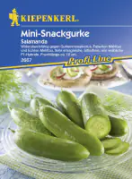 Kiepenkerl Snackgurke Salamanda Cucumis sativus, Inhalt: 8 Korn