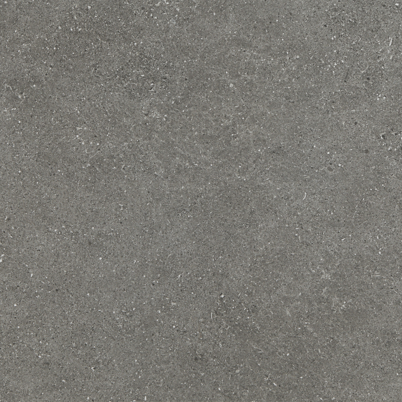 Terrassenplatte Alpen 60 x 60 x 2 cm grau
