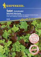 Kiepenkerl Schnittsalat Babyleaf-Mischung Lactuca sativa var. capitata, Inhalt: ca. 3 lfd. Meter