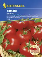 Kiepenkerl Tomate Harzfeuer Solanum lycopersicum, Inhalt: 19 Korn