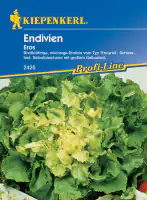 Kiepenkerl Endivie Eros
