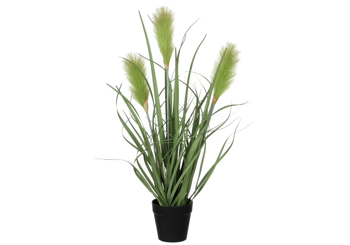 Mica Decorations Mica künstliches Riedgras grün, 53 x 30 cm GLO660754663