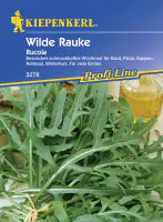 Kiepenkerl Rucula Wilde Rauke ca. 100 Pflanzen