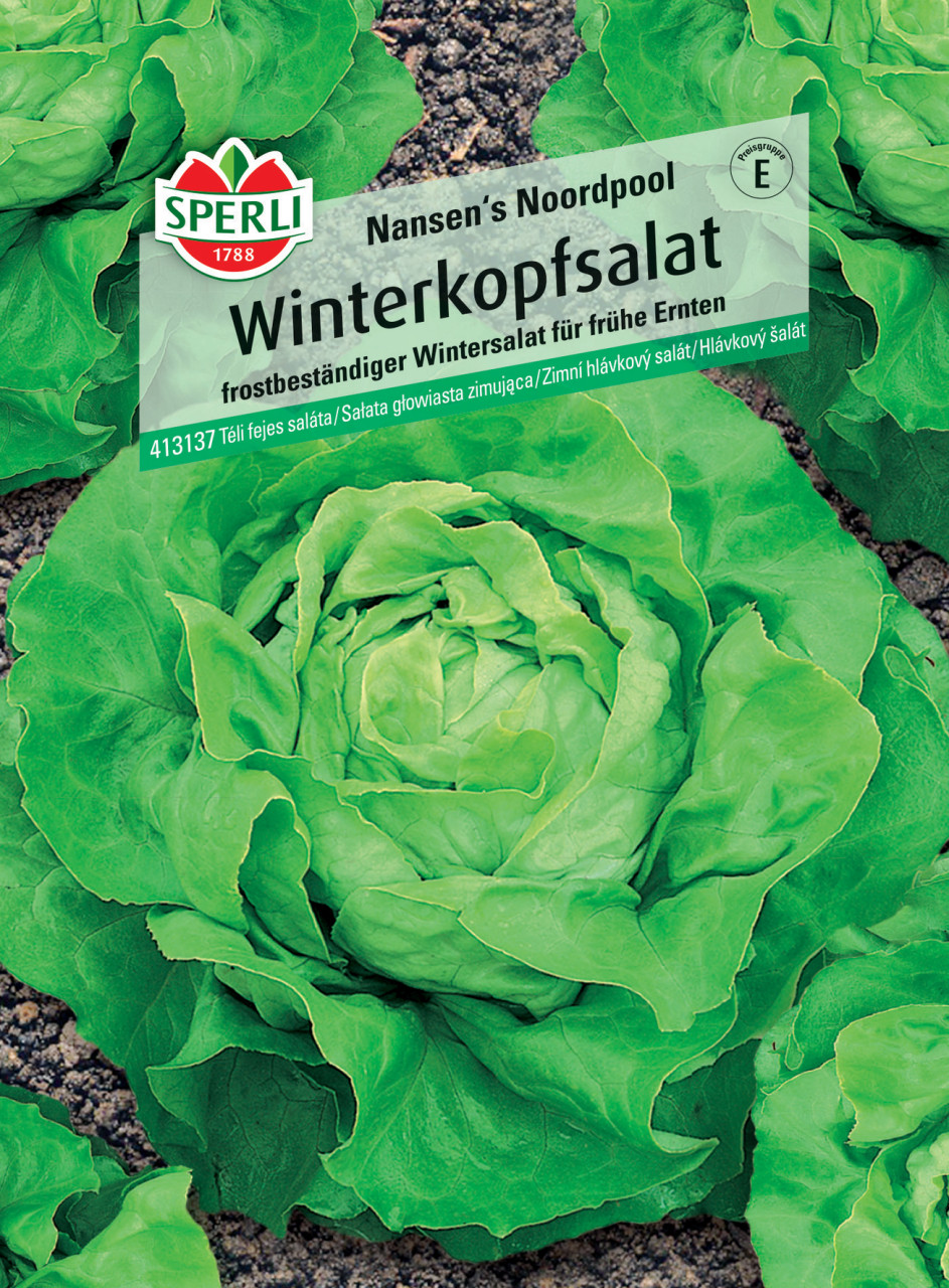 Sperli Winterkopfsalat Nansen's Noordpool GLO693109278