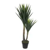Mica Yucca im Topf grün, 120 x 60 cm