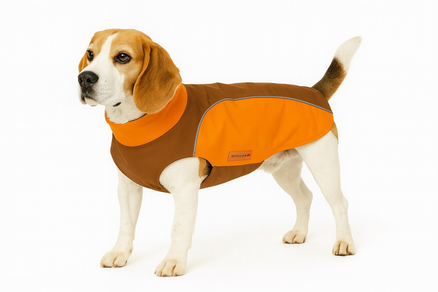 Wolters Hundebekleidung Regenjacke Easy Rain für Mops & Co. braun/orange