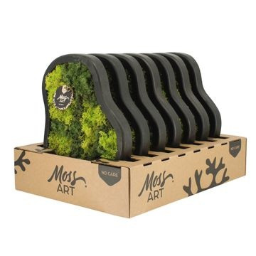 Moosbild freie Form Ø 36 cm mit echtem Moos
