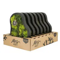 Moosbild freie Form Ø 36 cm mit echtem Moos