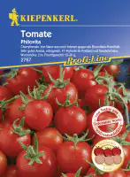 Kiepenkerl Tomate Philovita Solanum lycopersicum, Inhalt: 5 Korn